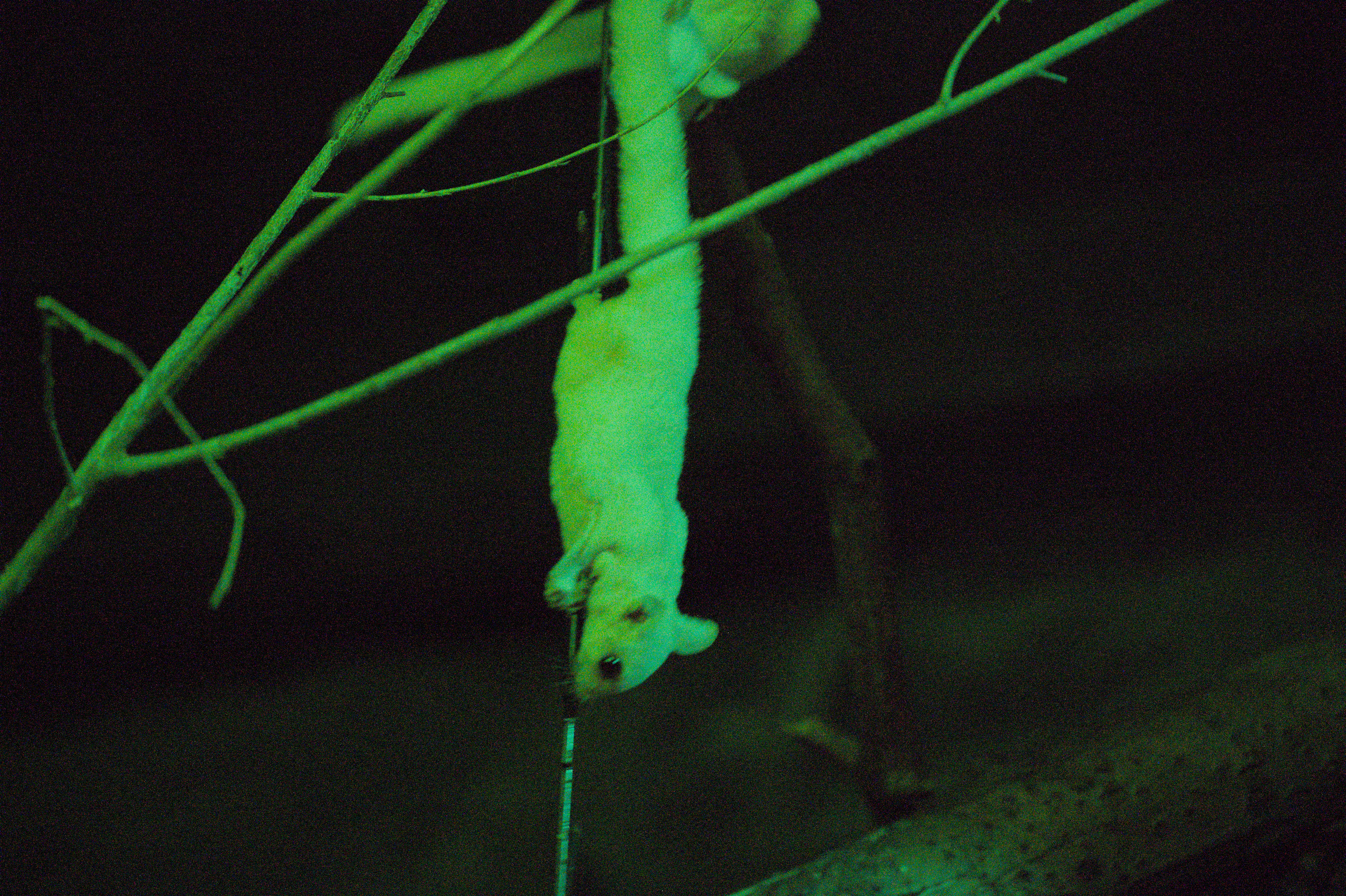 2025/10/12 - zoo/DSC_0258.jpg